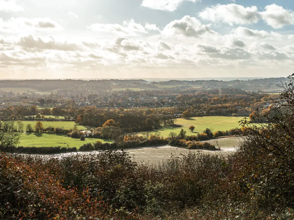 Looking down the hill to a vast view of fields of green with groups of trees as far as the horizon. 