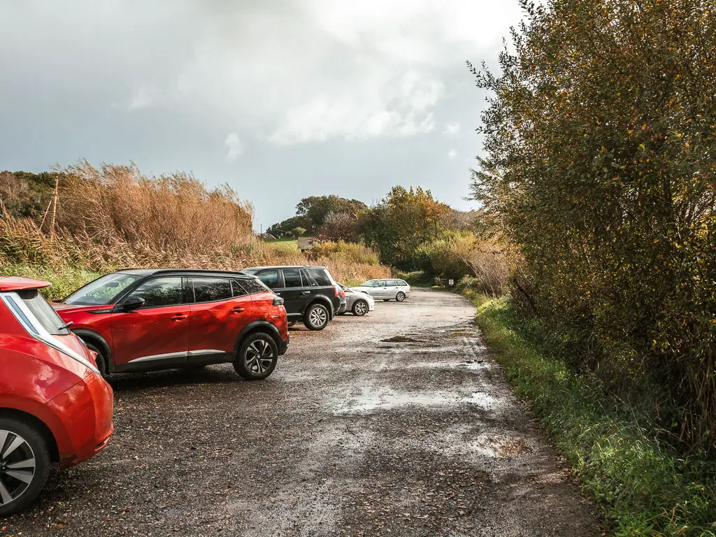 A gravel parking area, with five cars parked on the left, and bush sand trees on the right.