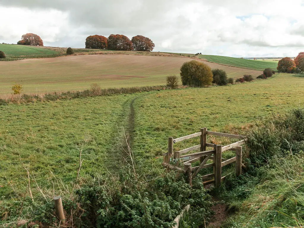 A wooden gate, and a trail running through the grass field on the other side. There is a hill rising up ahead. There are a few trees at the bottom and top of the hill.