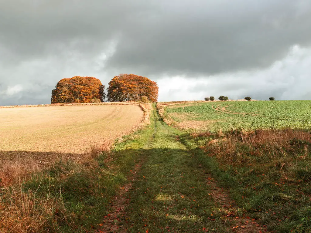 Looking up the grass trail leading to the top of the ridgeway, on the walk from Avebury to Ogbourne St George. There are two trees on the top of the hill.