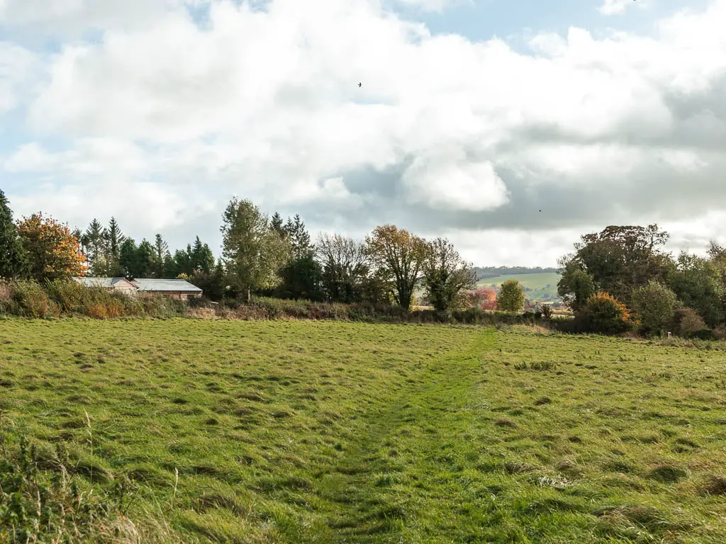 A large grass field, with trees on the other side.