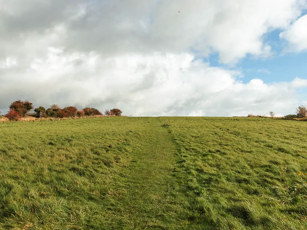 A strip of cut grass marking the trail, leading through the large grass field.