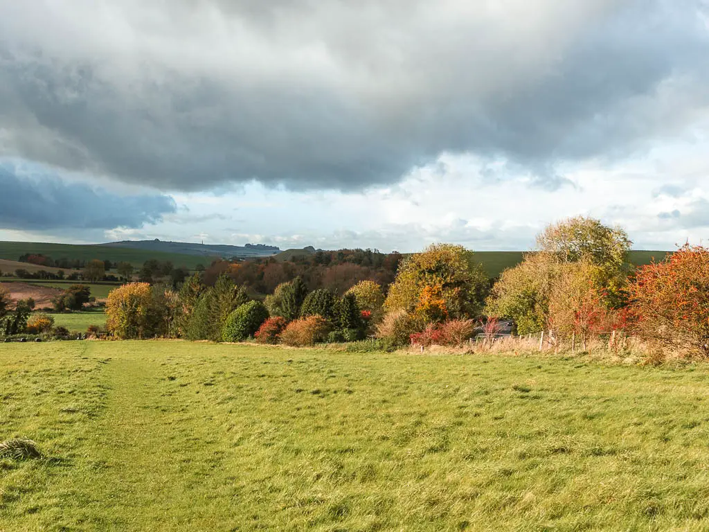 Looking across the green grass field to trees on the other side, with orange, red, and green leaves.