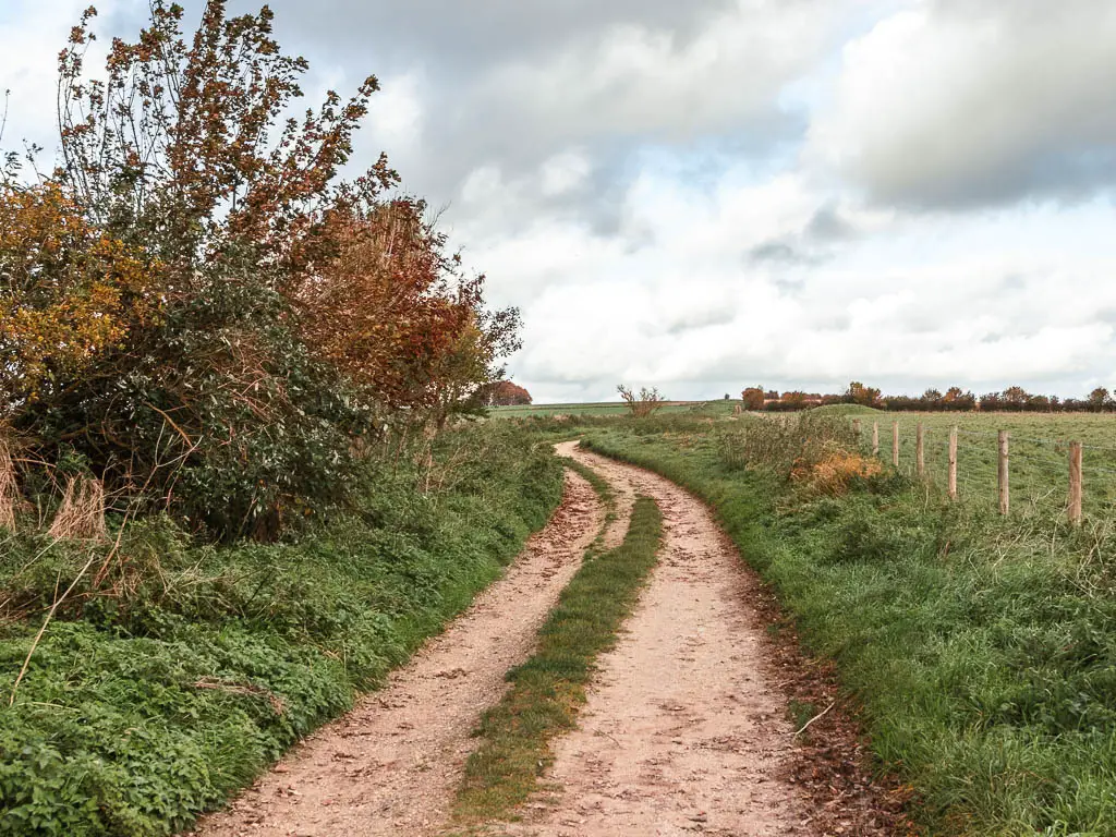 A dirt track line with grass on both sides, and bushes and trees to the left.