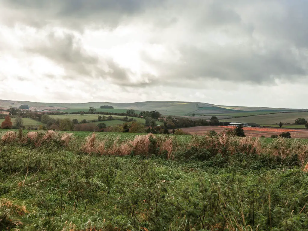 Looking towards the undulating green grass fields, and hills in the distance when walking between Avebury and Ogbourne St George.