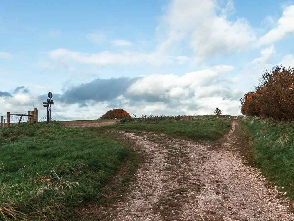 A split in the gravel trail through the grass. 