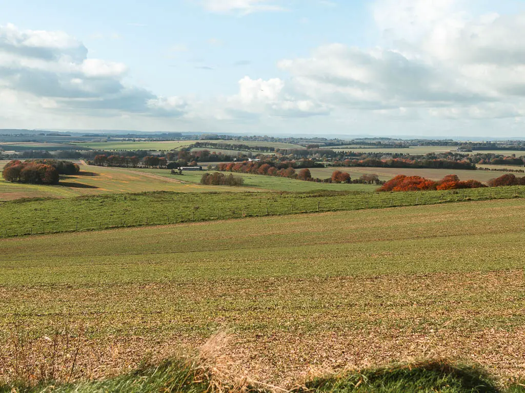 Looking across the undulating fields into the distance. 