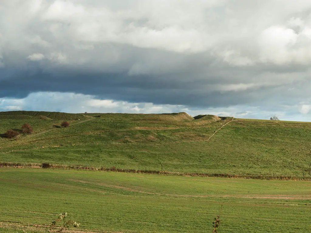 A grass field, with a hill on the other side, and the defence ditch of Barbury Castle on the top, on the walk between Avebury and Ogbourne St George.