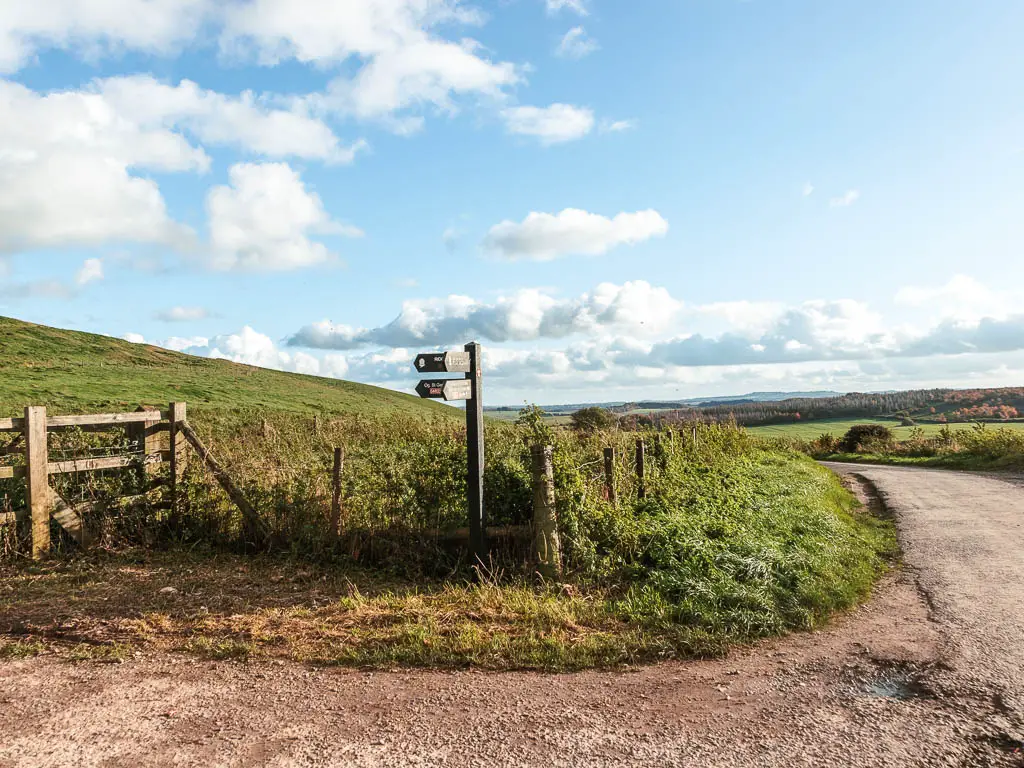 A corner with the road on the right and gravel path on the left, and a wooden trail sign in the middle.