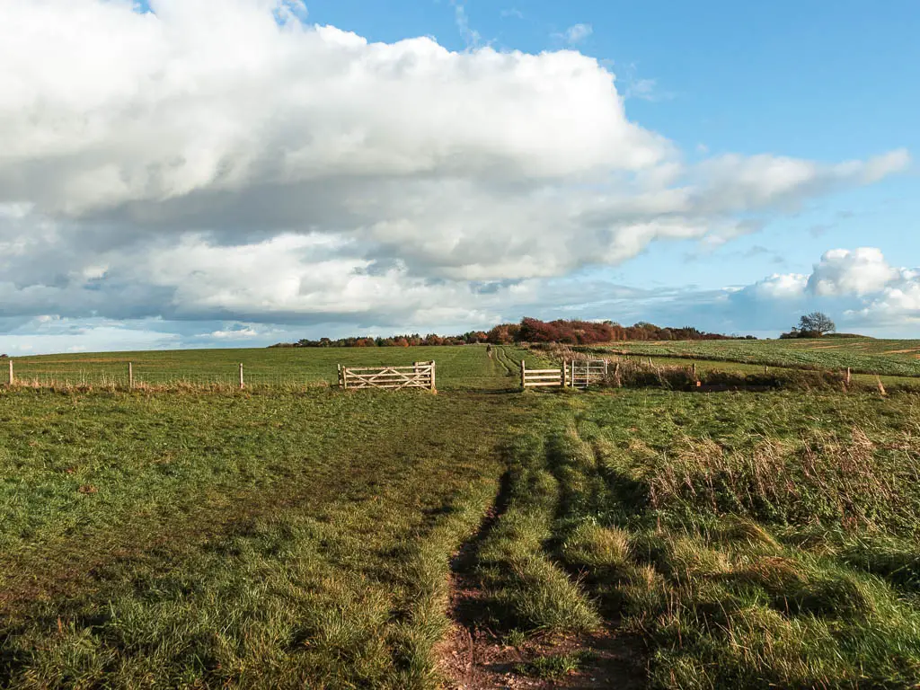 A barely visible dirt trial leading straight through the grass, towards a fence with a wooden gate, which leads into another field.