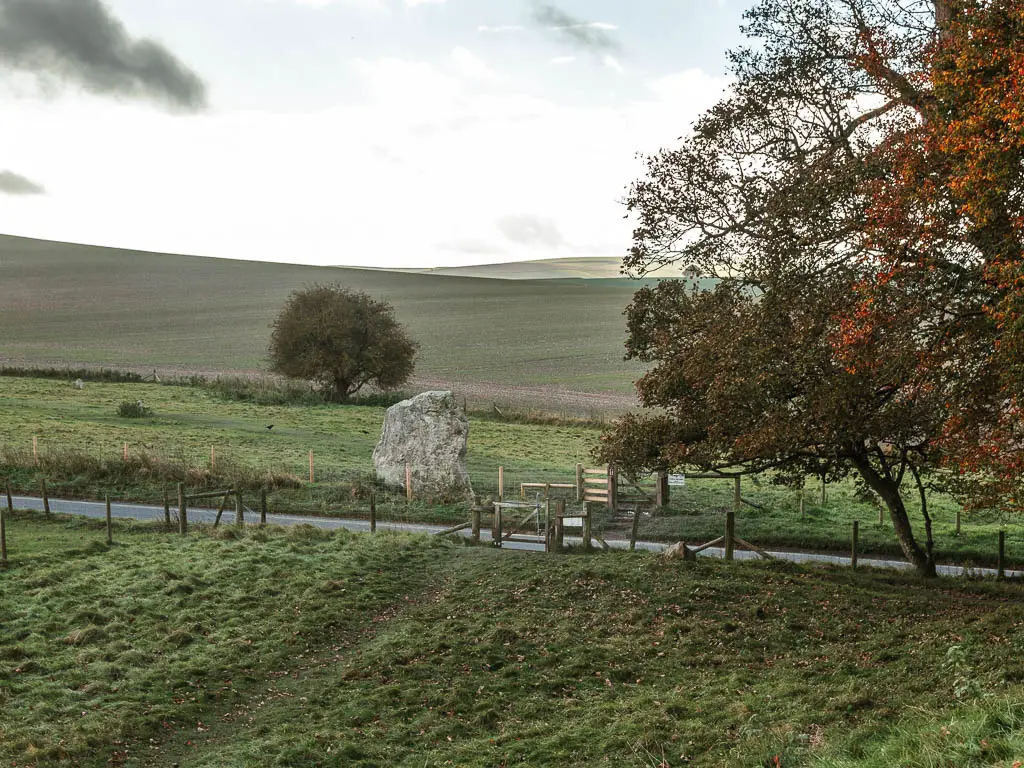 Looking down towards a road running in between tow grass fields. There is a big stone in the field on the other side of the road. There is a tree with green and a few red leaves to the right.