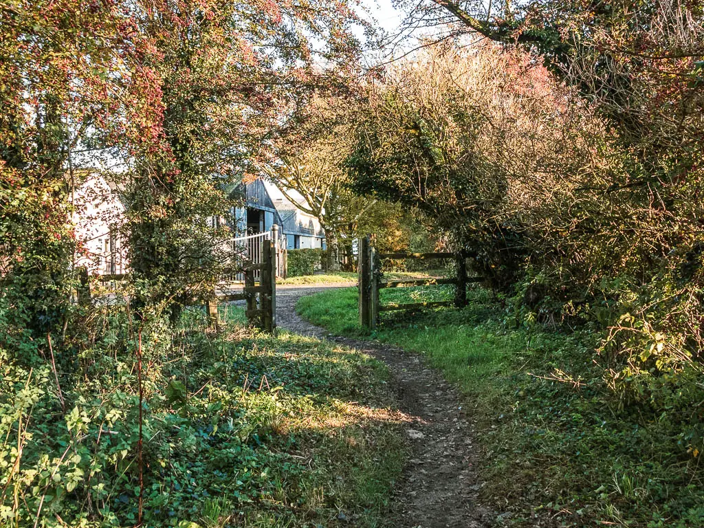 A thin dirt trail leading through an open wooden gate. There are straggly bushes and trees surrounding the trail.