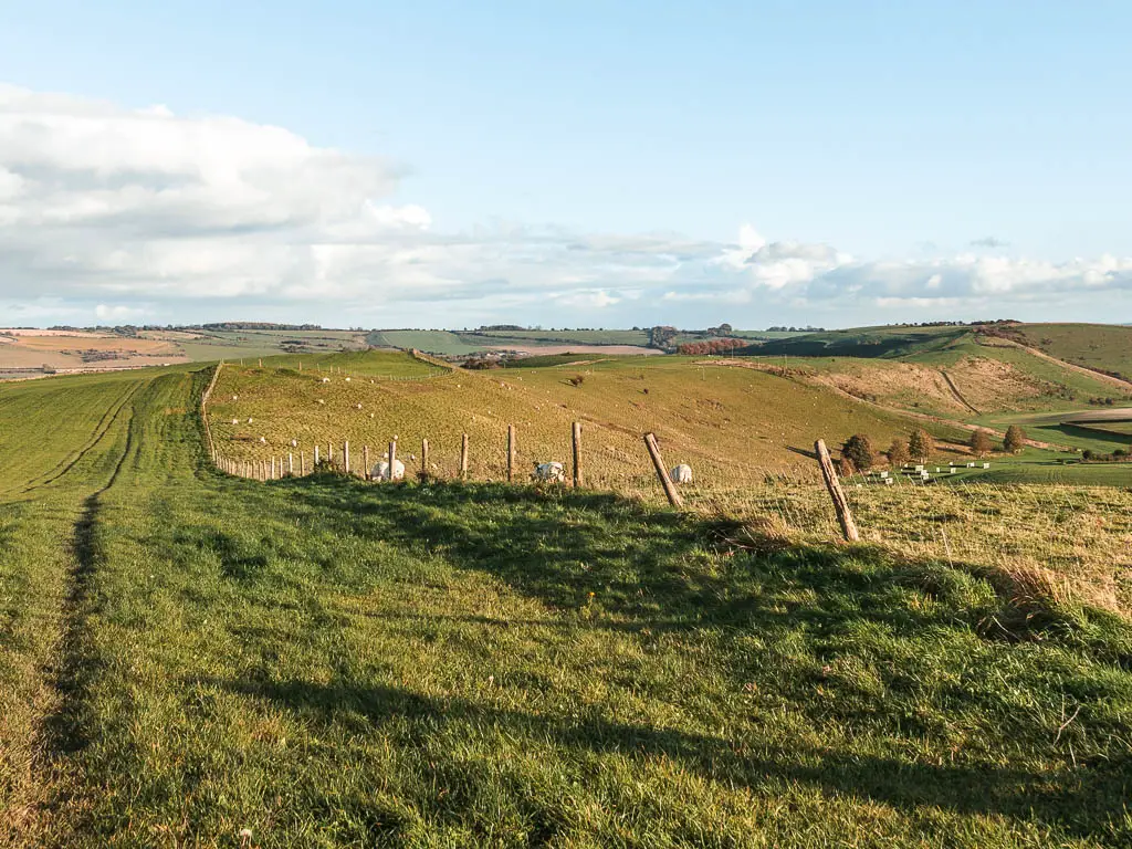 A large expanse of underling grass fields, with a wire and wooden fence cutting ahead across the middle, near the end of the walk between Avebury and Ogbourne St George. 