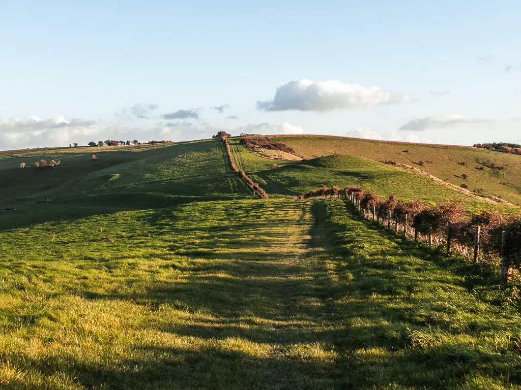 A grass trail leading straight ahead along the undulating grass field hills, with a fence and bushes leading ahead along the right side.