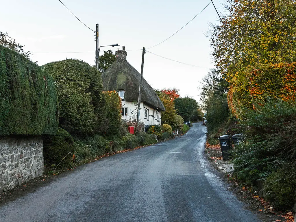 A road curving ahead, lined with neatly cut hedges, and a white walled thatched roofed cottage ahead on the left in Ogbourne St George.