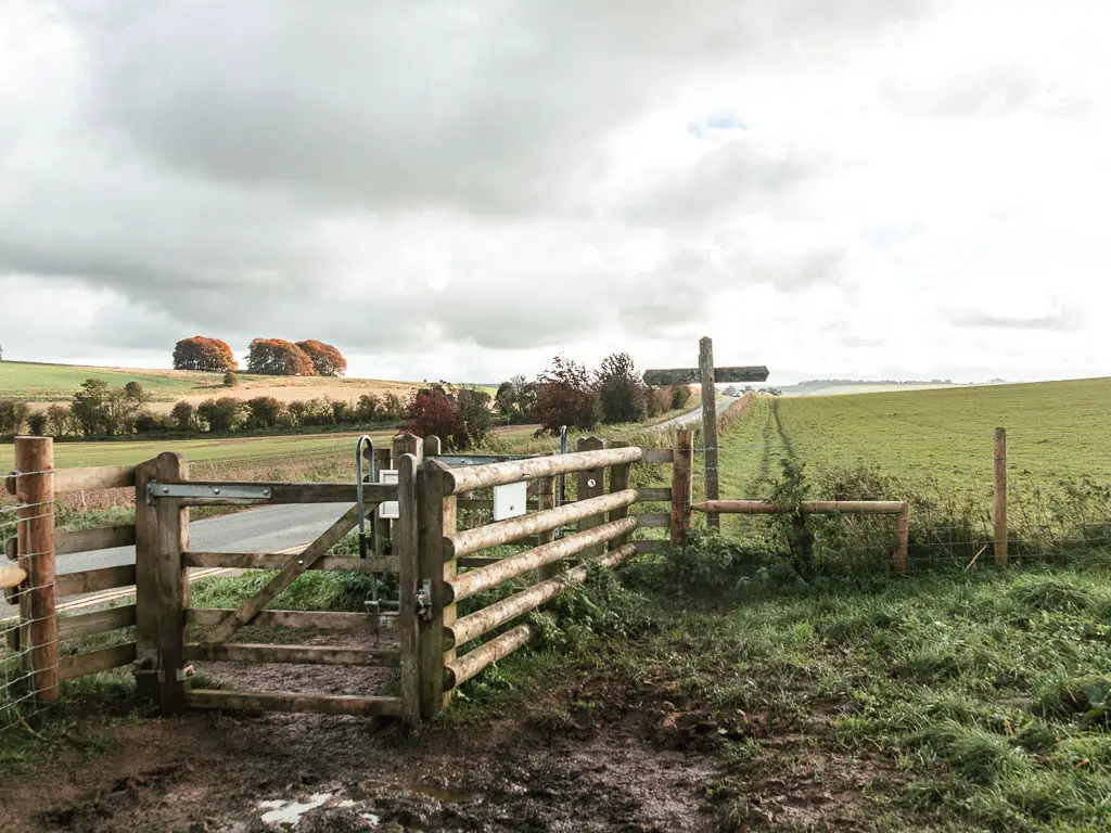 A mud patch before a wooden fence and gate, leading to a road to the left and a field straight ahead.