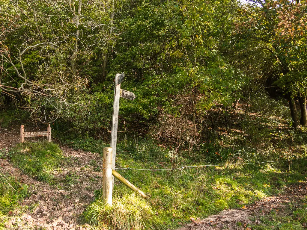 A wooden trail signpost on a grass patch between the muddy trails. There is a mass of leafy bushes and trees behind the sign.