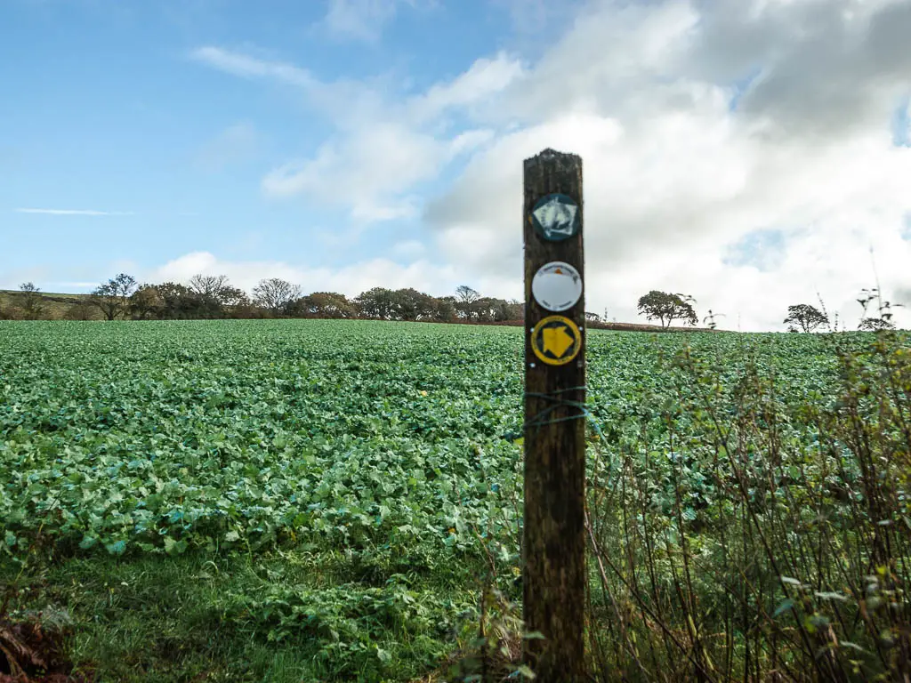 A wooden stump signp pointing left to walk towards Swanage, after leaving Corfe. The sign is in front of a crop field.