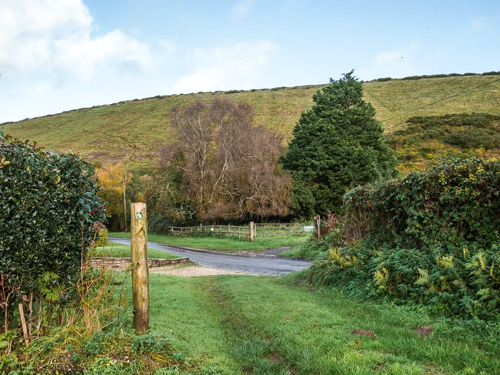 The grass trail leading towards a road, with a big hill of the Purbeck Ridgeway rising up on the other side.