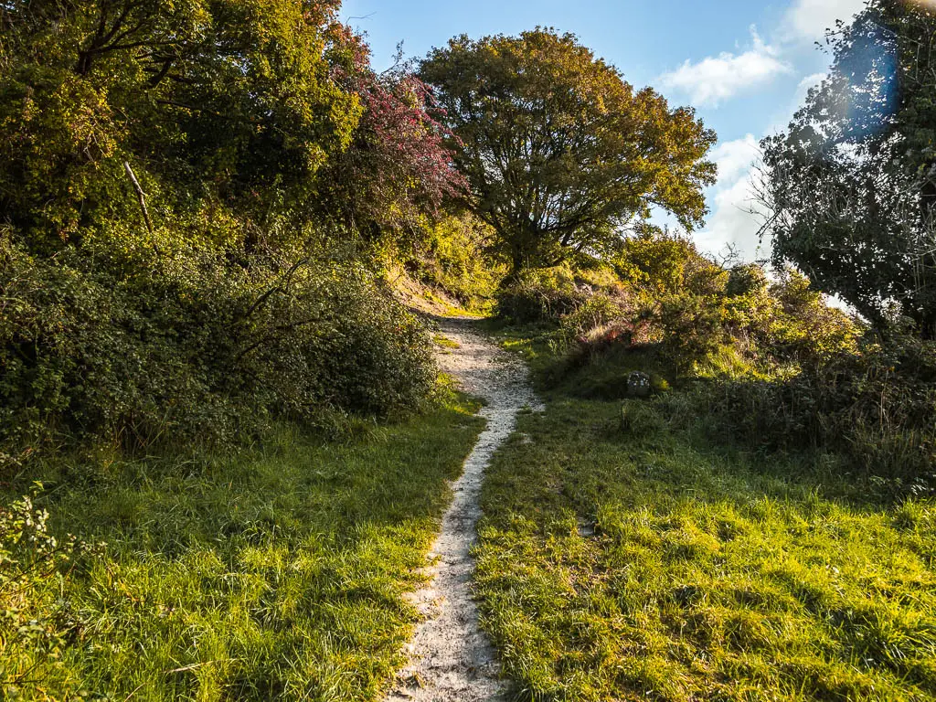 A thin trail leading up the hill through the grass, surrounded by a few bushes and trees.