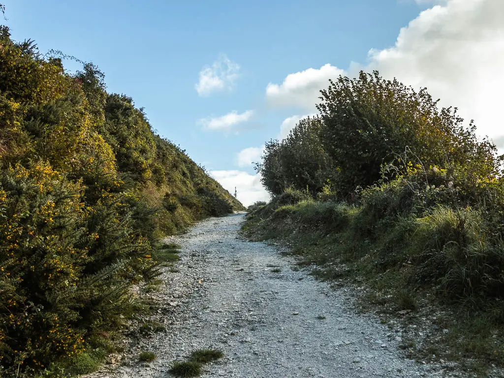 A wide gravel path leading up the hill. The path is lined with green bushes.