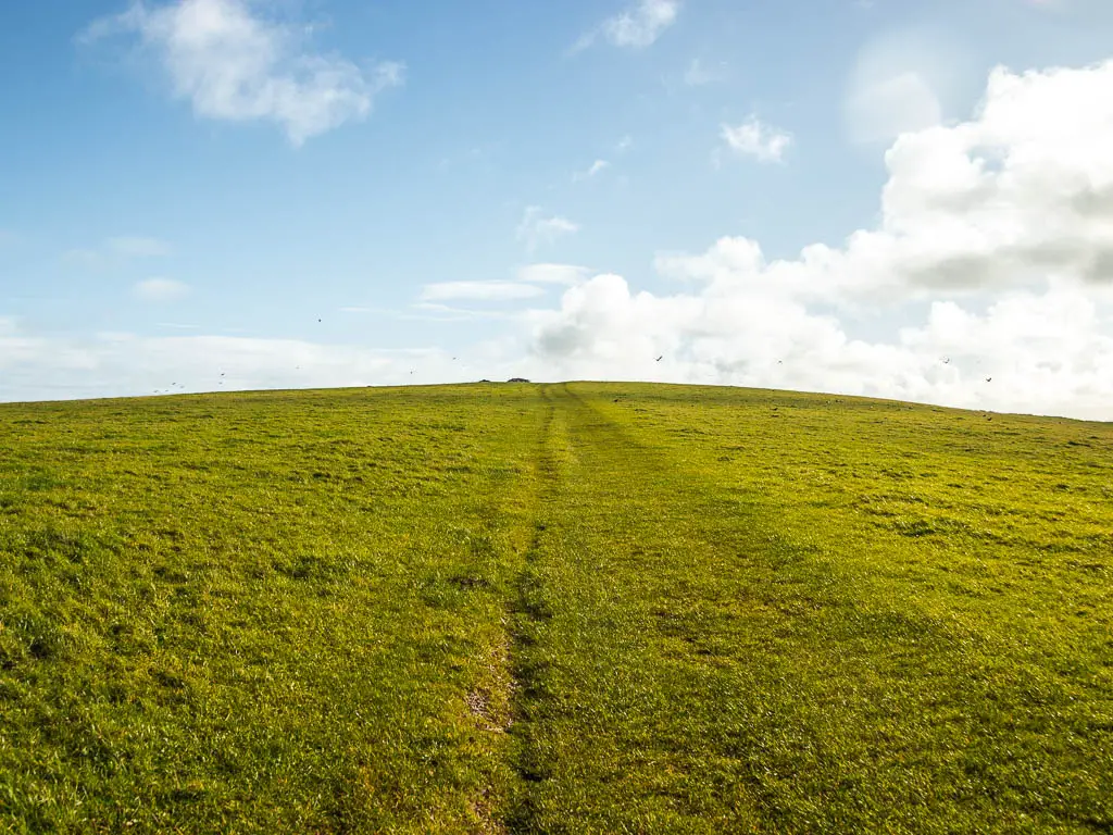 A big green field, with a barely visible trail running straight ahead.