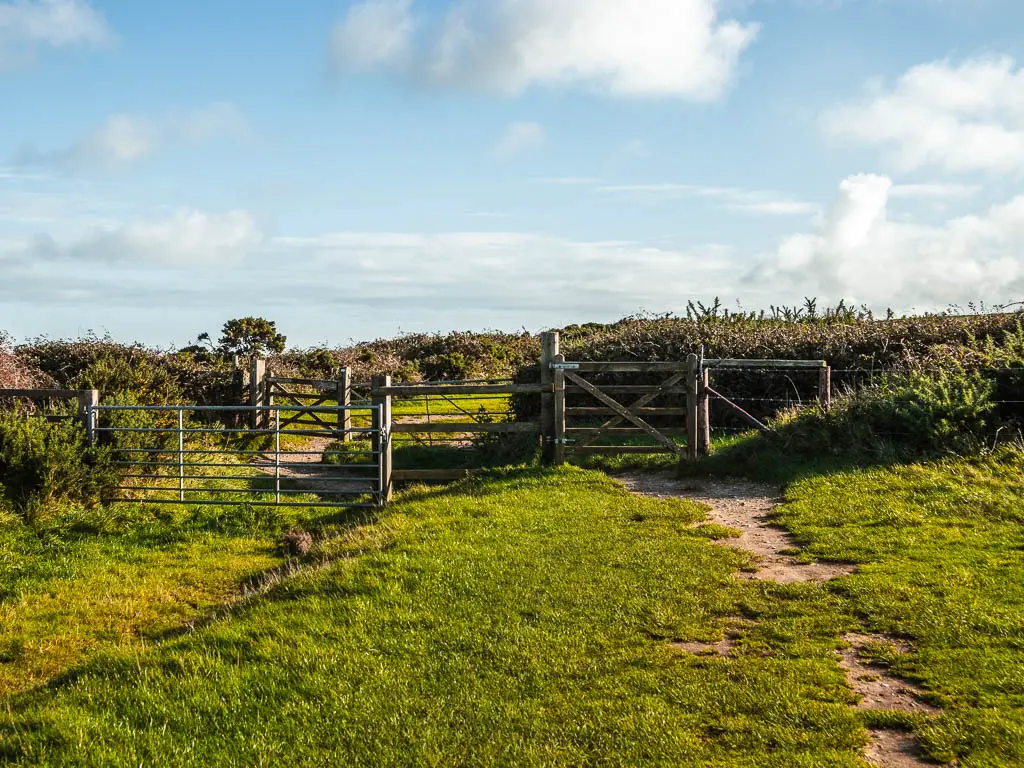 The dirt trail through the grass leading towards a wooden gate and bushes. 