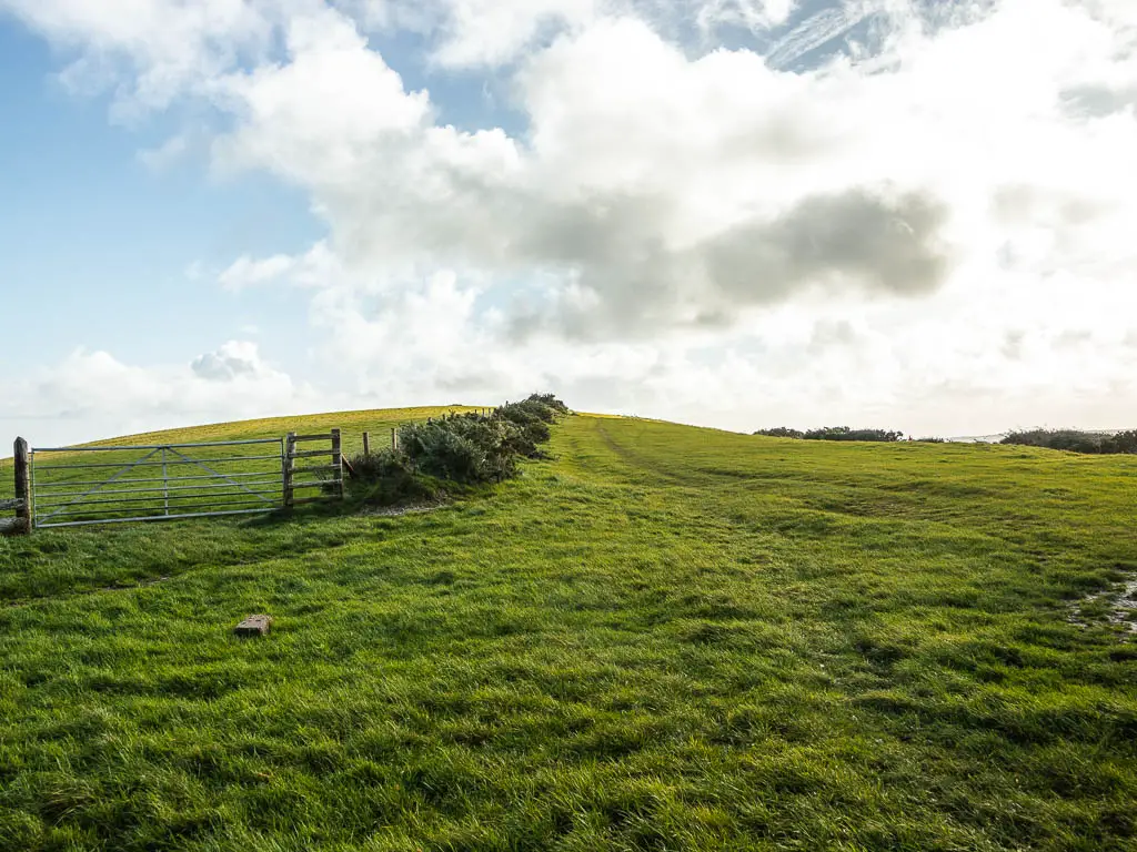 A big grass field along the ridge, with a line of bushes leading ahead.