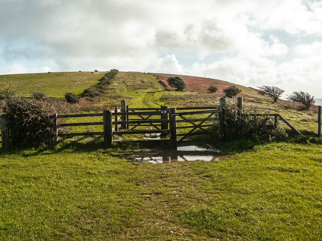 A wooden gate and fence across the grass with a hill on the other side.