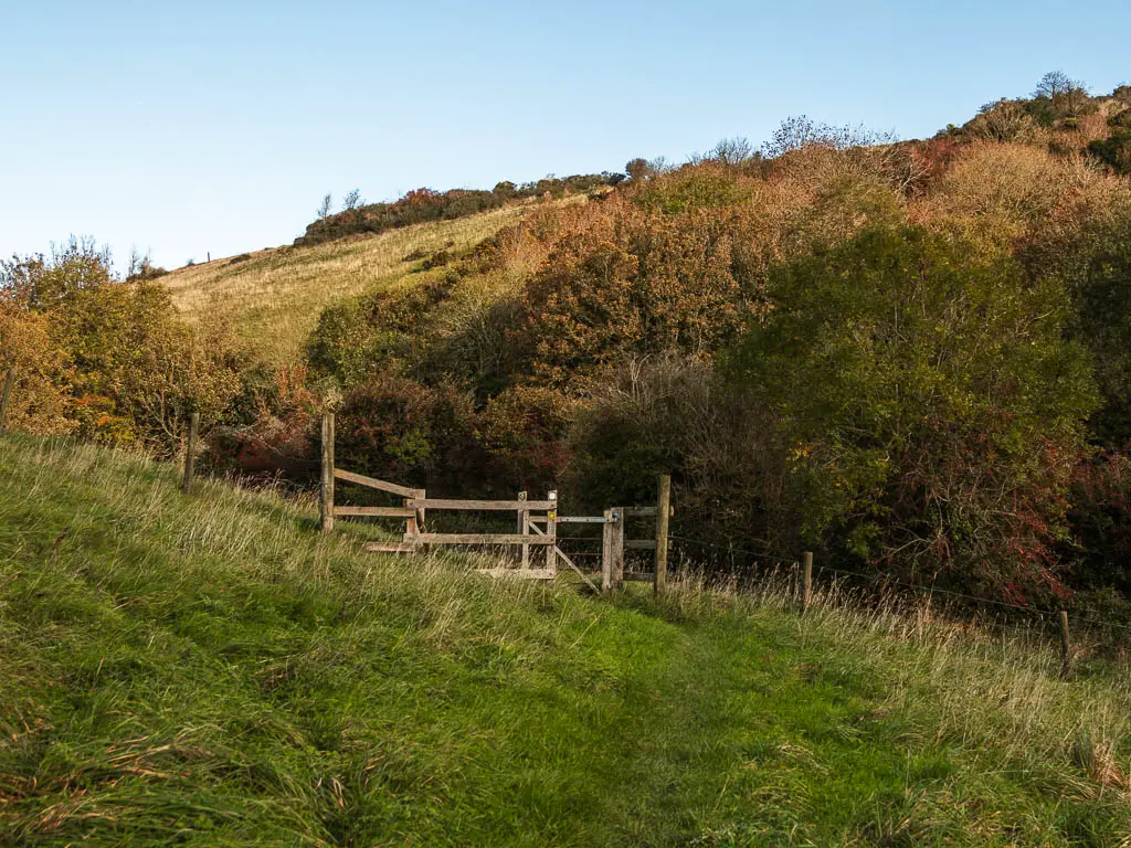 The grass trail leading towards a wooden gate, and a tree covered hill ahead.