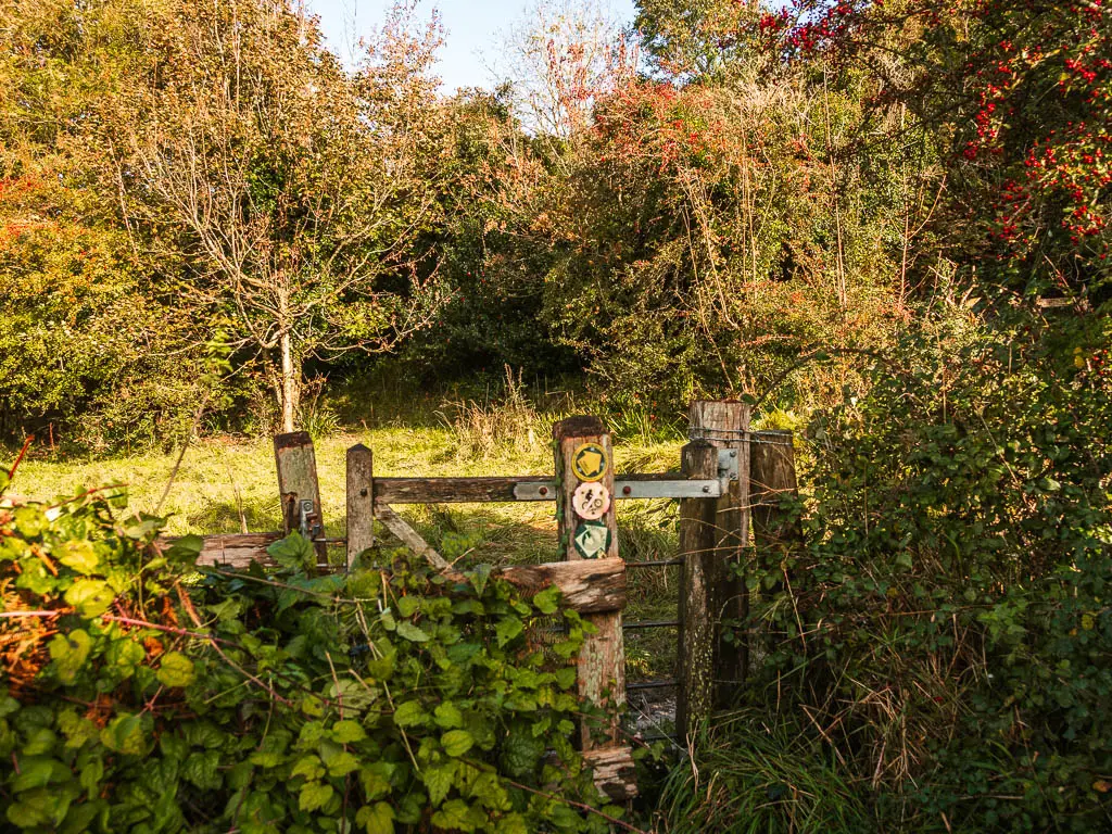 A wooden gate with trail arrows. the gate is engulfed by bushes.