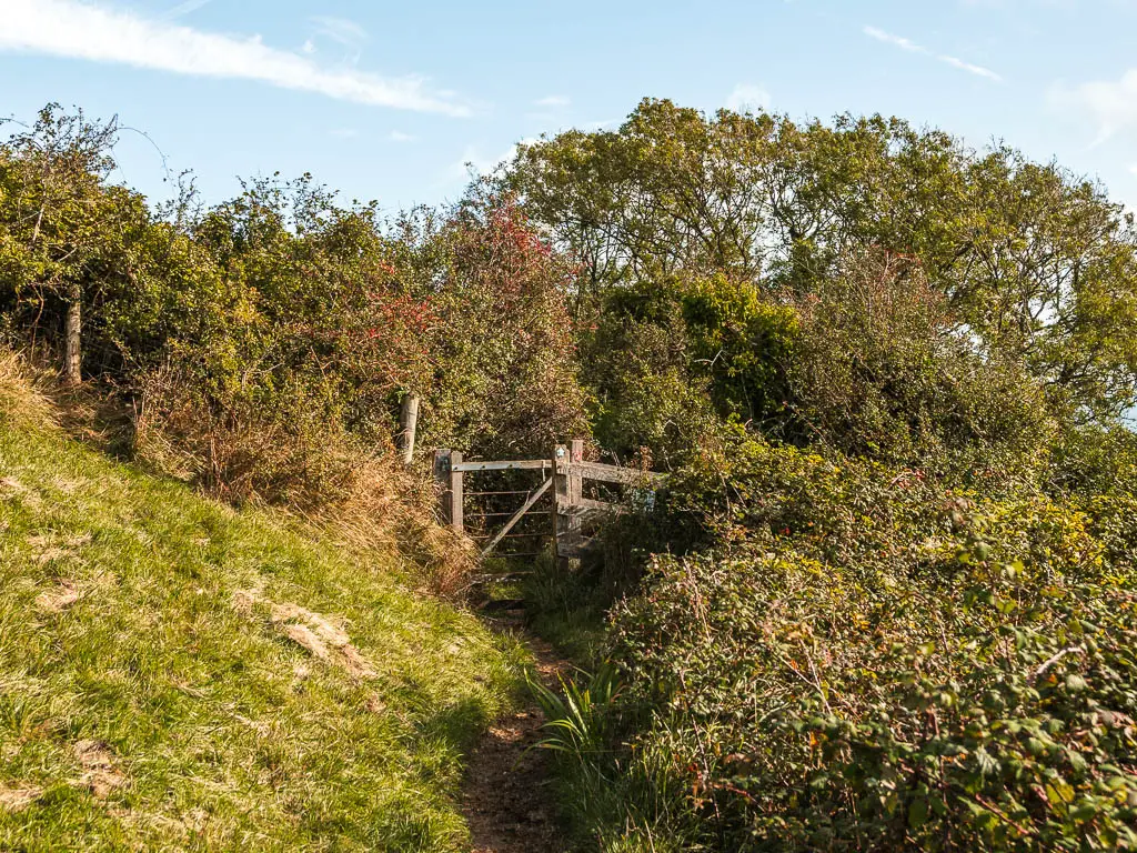 The dirt trial leading to a wooden gate with a mass of bushes and trees on the other side.