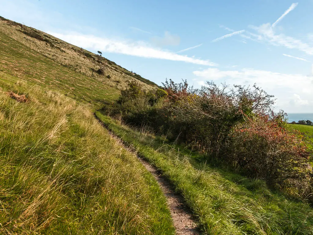 A thin trail cutting across the side of the grass hill, on the walk towards Ballard Down and Swanage, from Corfe.