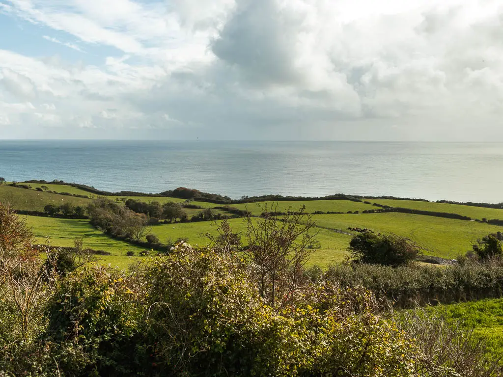 Looking across the bushes to the patchwork undulating fields, and the sea in the distance. 