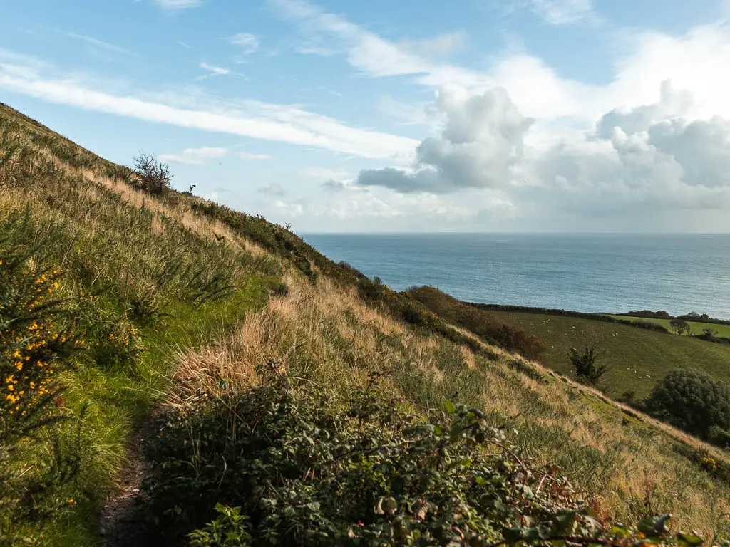 A thin trail cutting across the hill side, with a view to the blue sea ahead, when walking between Corfe Castle and Swanage. 