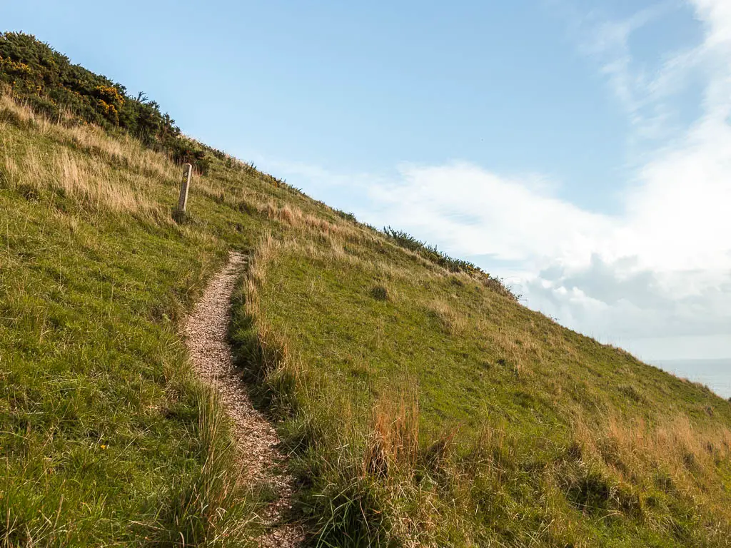 A thin trail leading up the grass hill.