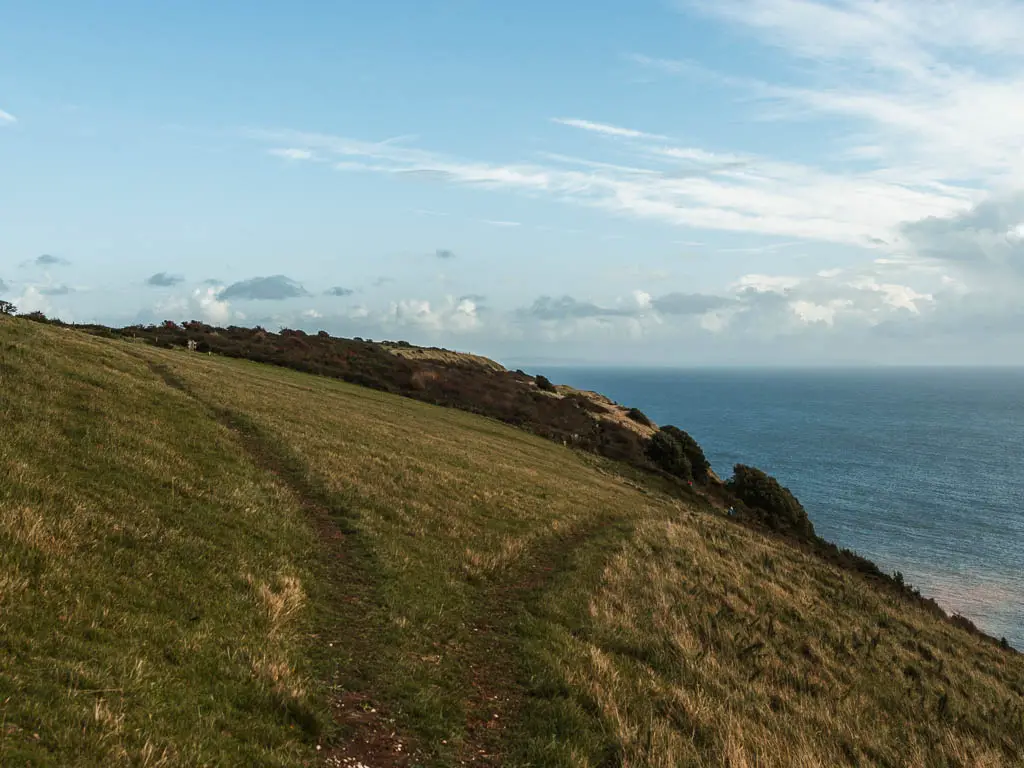 A fork in the trail through the grass, on the side of the hill, with a view to the blue sea ahead.