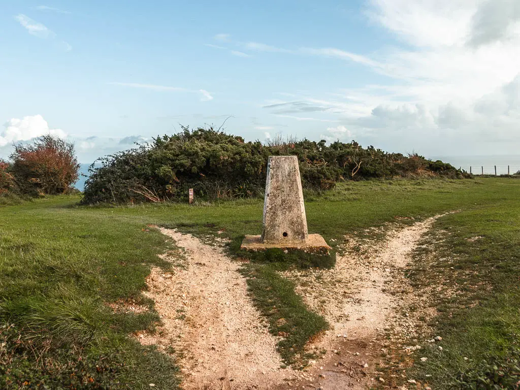 A trig point in a split in the dirt trail. There is a bush on the other side of it.