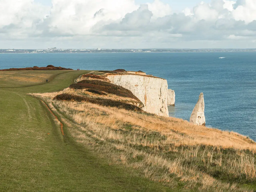 Looking across the grass clifftop, with a view down the white cliff edge on the right, near the end of the walk between Corfe Castle and Swanage. 