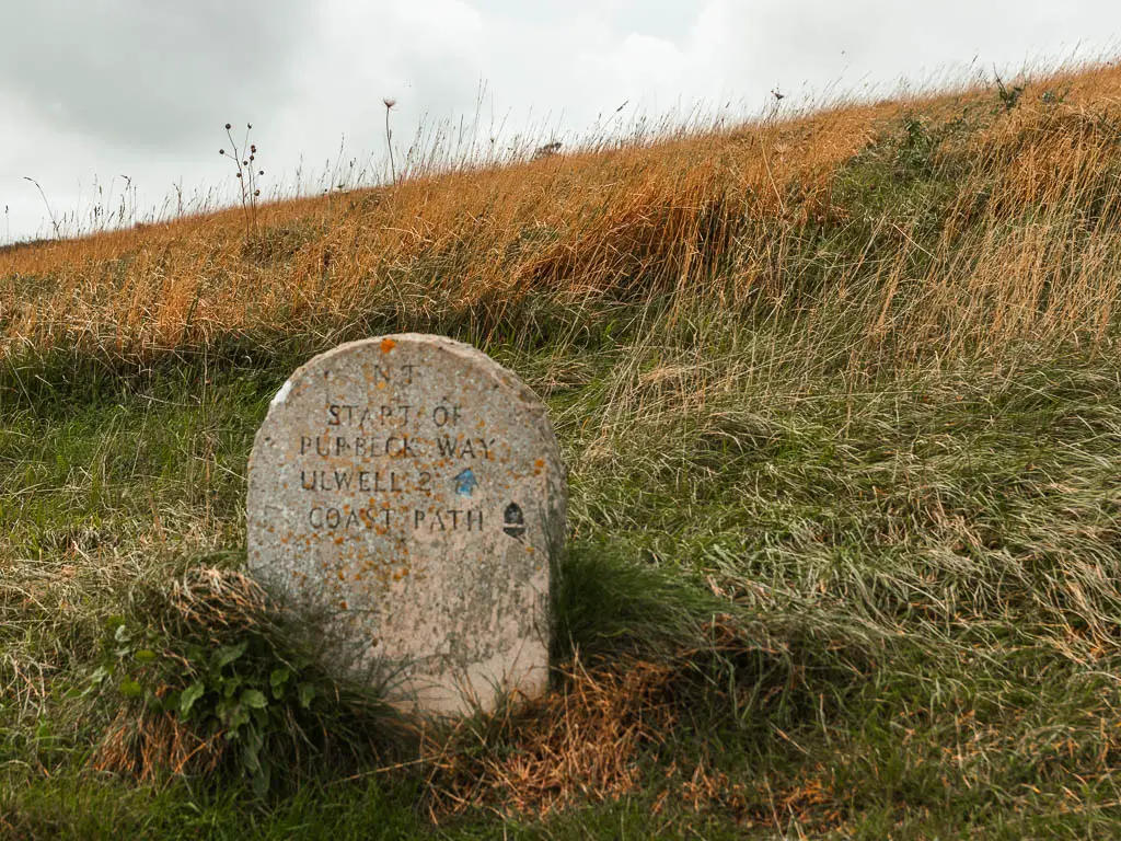 A stone trail sign surrounded by unkempt grass, saying 'Start of the Purbeck way'