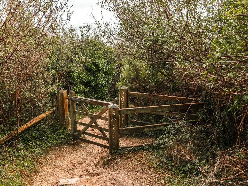 A wooden gate surrounded by bushes.