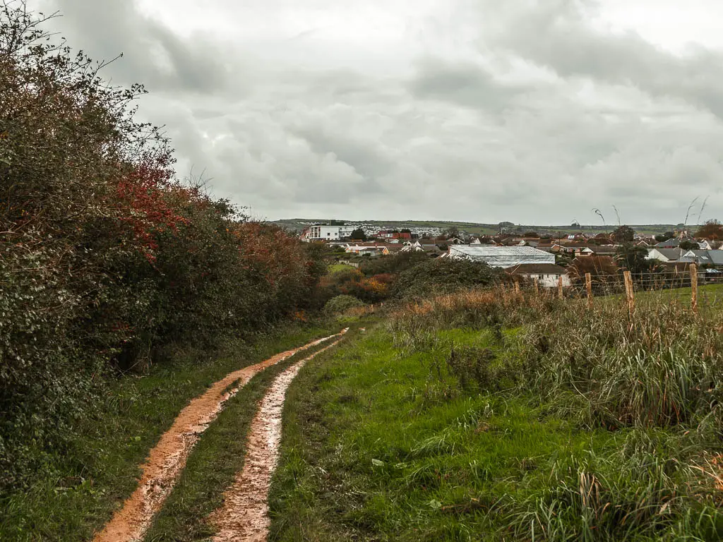 A wet muddy trail with bushes on the left and grass on the right. There are rooftops visible ahead. 