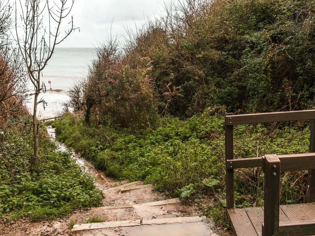 A thin trail leading through the bushes to the sea.