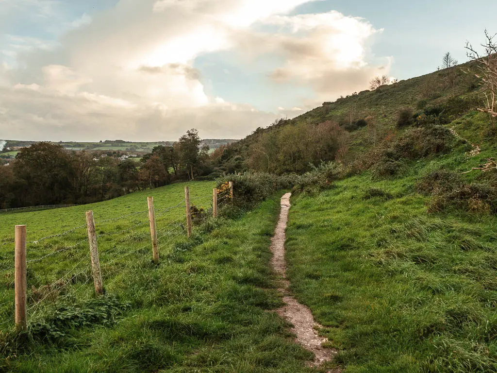 A narrow strip of trail through the grass, with a wooden and wire fence on the left.