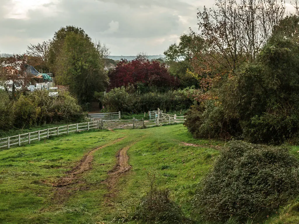 Looking down a small grass field, with a couple of dirt trails, and a wooden fence on the other side. 