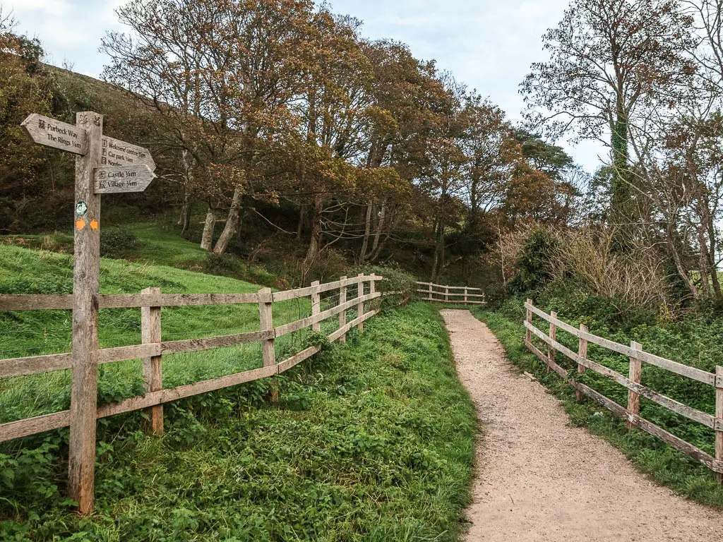 A path leading ahead on the right, and a grass back on the left. The path is lined with wooden fence, and there is a wooden trail sign on the left side.