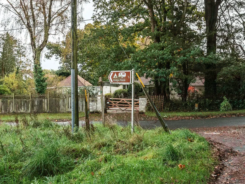 A patch of long unkempt grass in front of the road, with a sign in the middle of it.