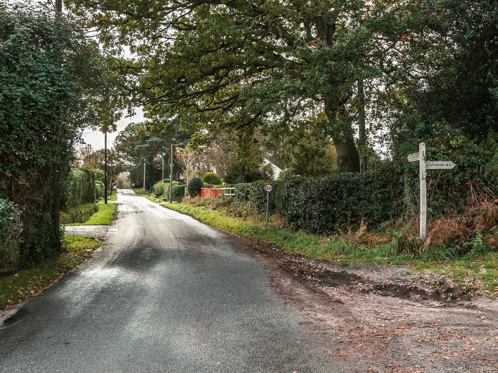 A road leading straight ahead, lined with some bushes and trees, and a wooden trail signpost on the right side.