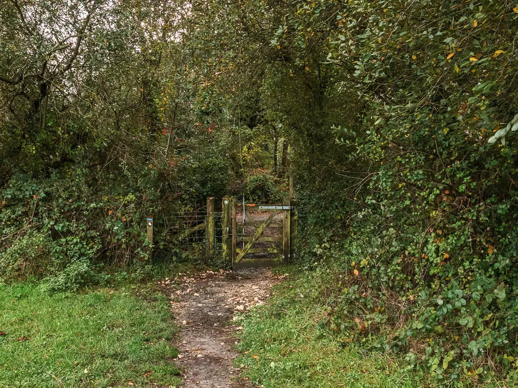 A narrow dirt trail leading to a wooden gate, which is surrounded by a mass of green bushes and trees.