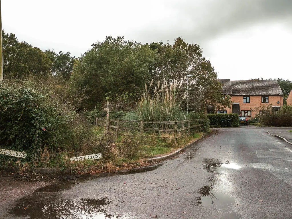 A road leading ahead towards a house on the right, and an unkept green area on the left. 